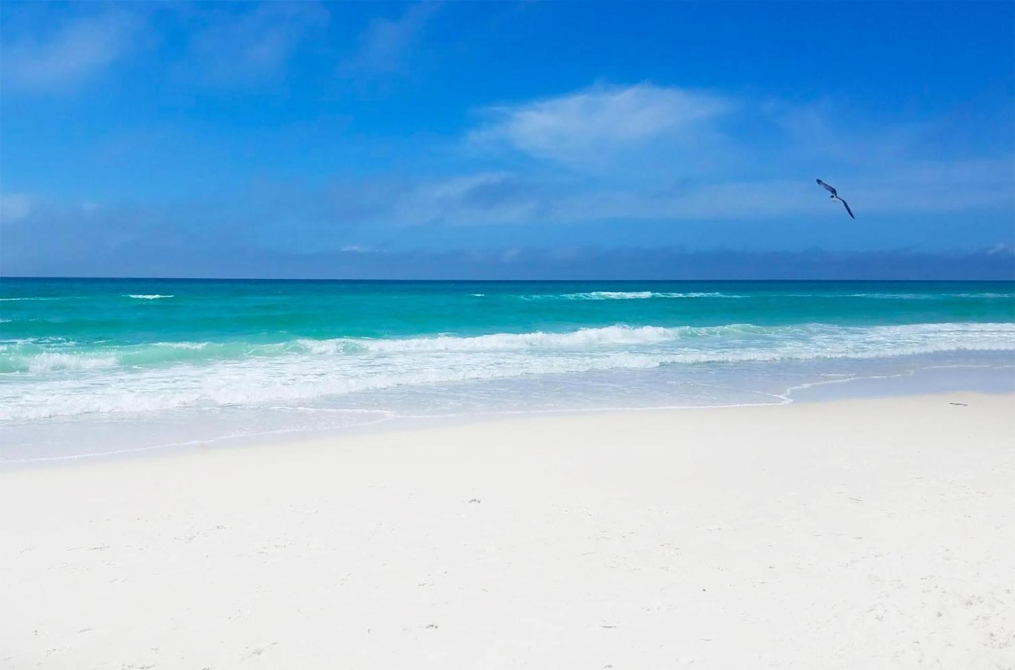 Emerald Beach 1033 Panama City Beach Bagian luar foto